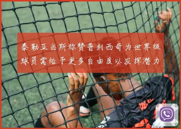 泰勒亚当斯称赞普利西奇为世界级球员需给予更多自由度以发挥潜力