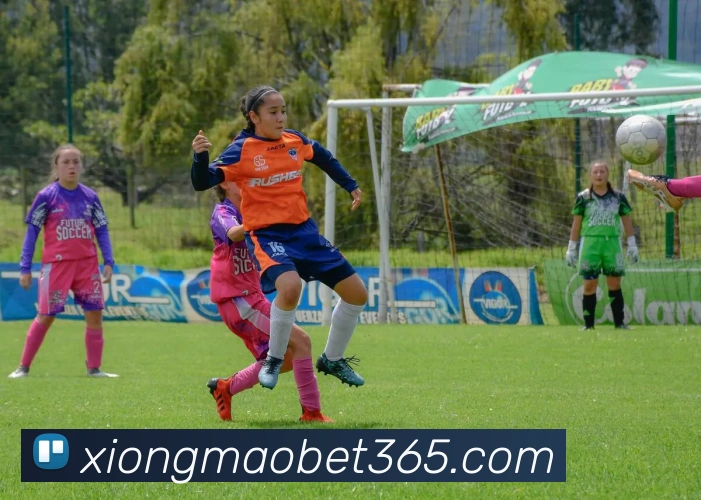 熊猫体育发展历程